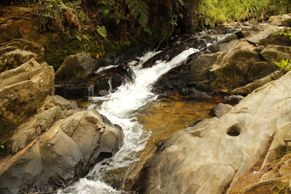 Water ravine rocks