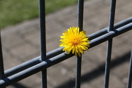 Included kept in custody hope