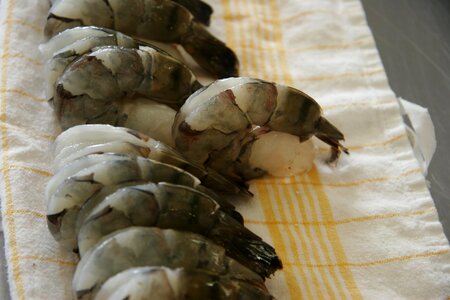 Fish seafood dine