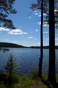 Western siberia blue lake in the pine forest russia