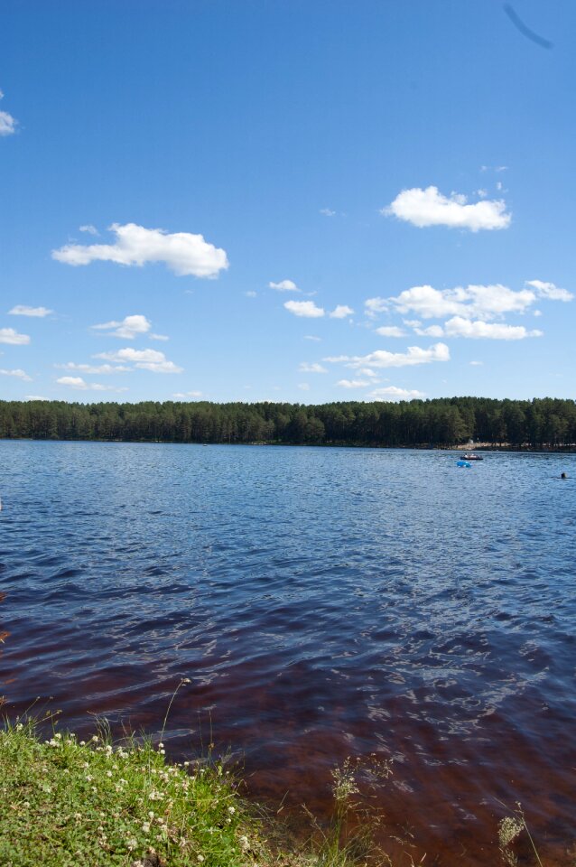 Western siberia blue lake in the pine forest russia