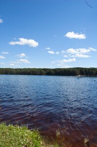 Western siberia blue lake in the pine forest russia
