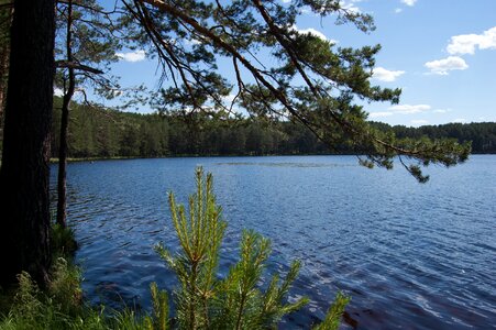 Western siberia blue lake in the pine forest russia