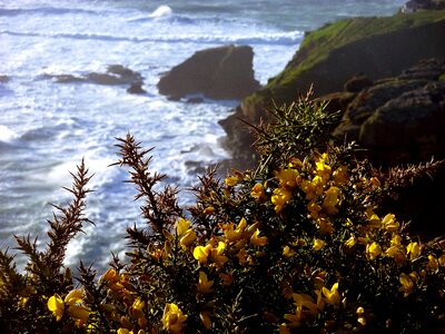 Cornwall sea water photo