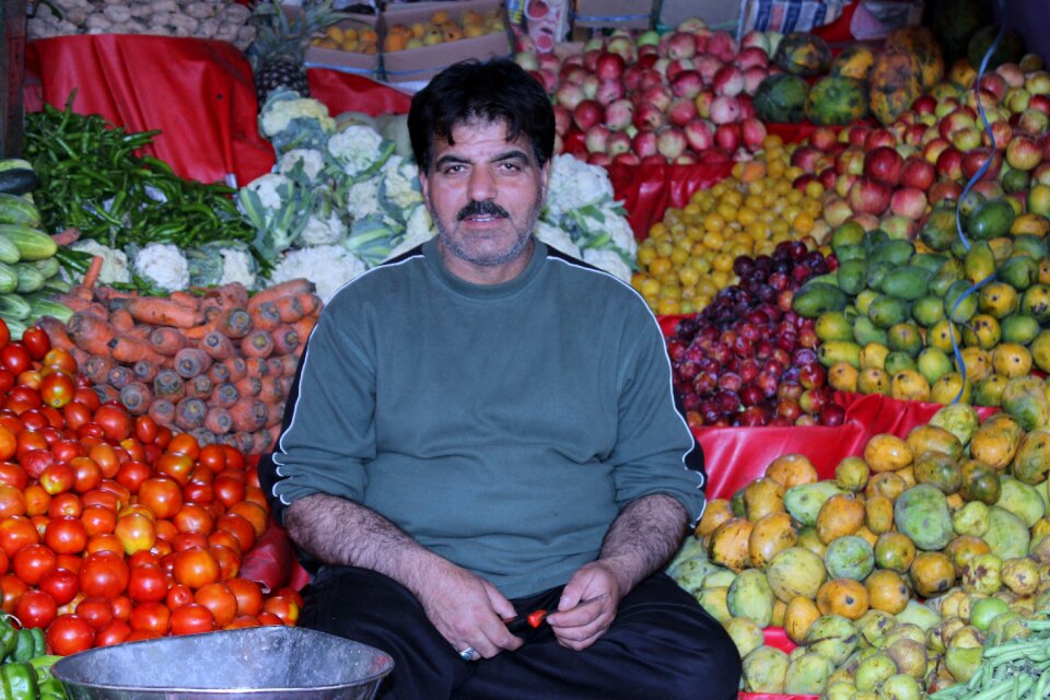 India ladakh dealer