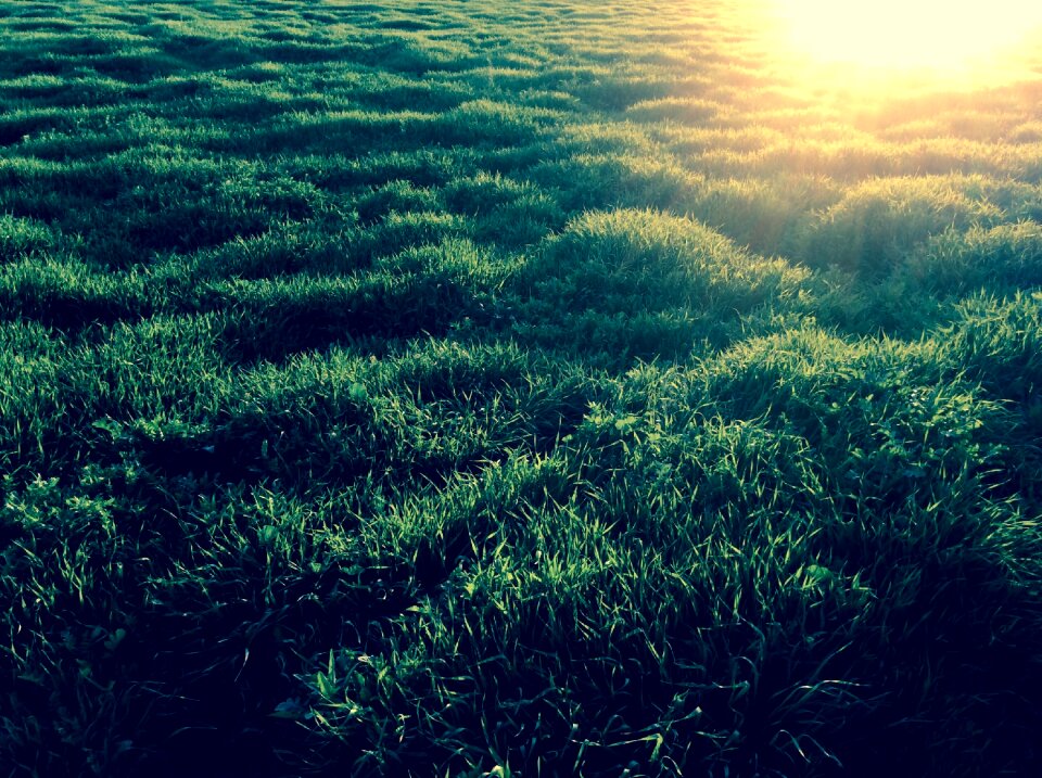 Sunset texture