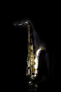 Jazz musical instrument music