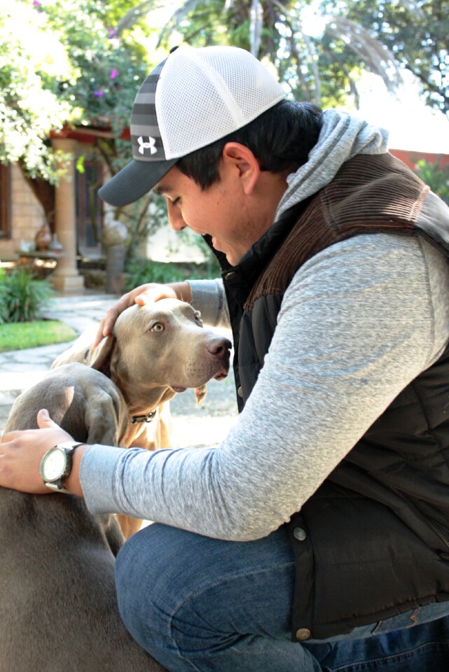 Animals friend loyalty