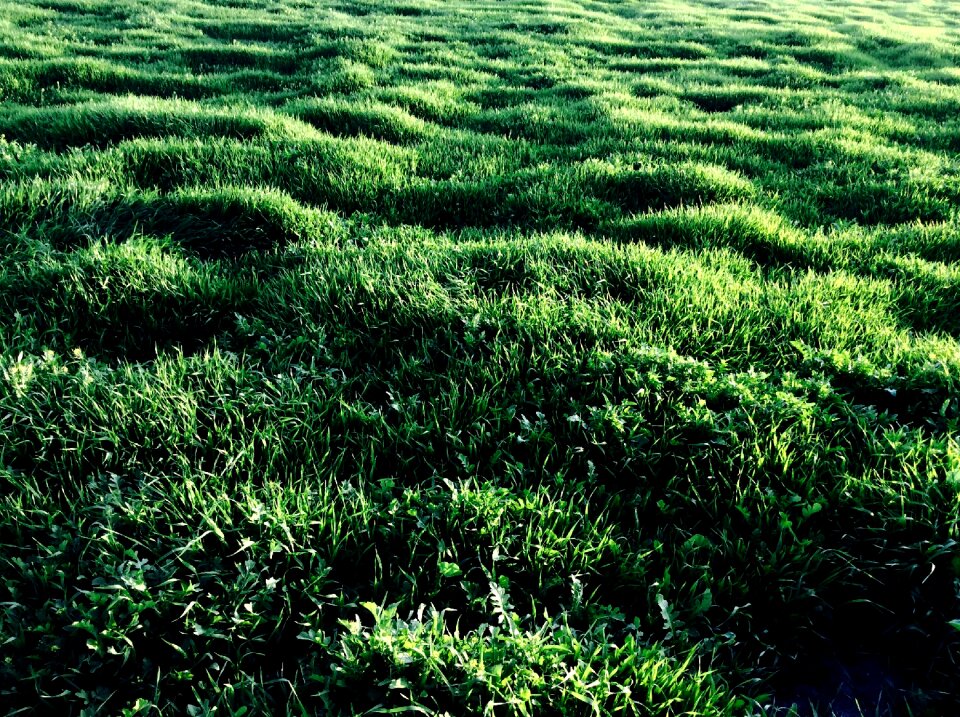 Sunlight texture