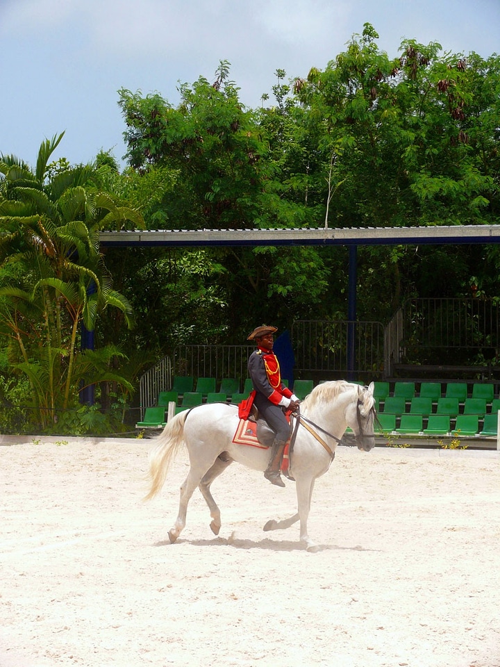 Man dominican republic