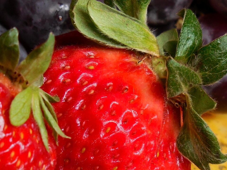 Food healthy fresh