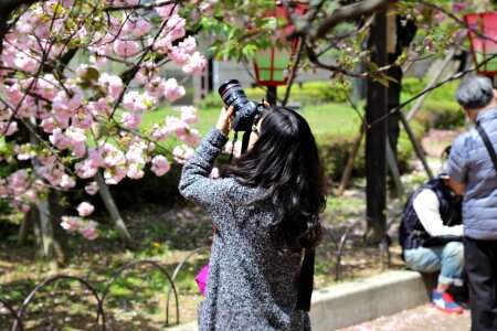 Girl female people