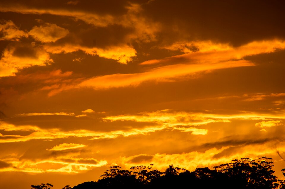 Orange golden horizon