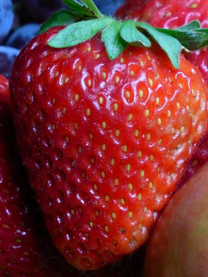 Healthy fresh diet