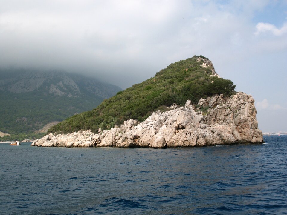 Wave turkey seascape