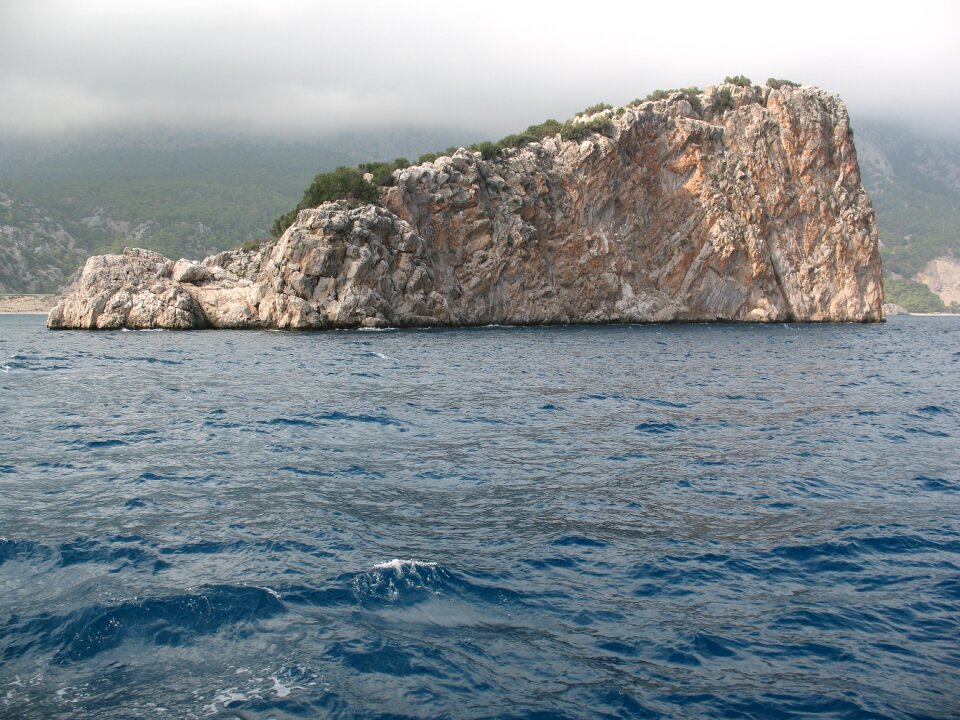Wave turkey seascape