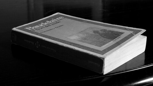 Book white black literature