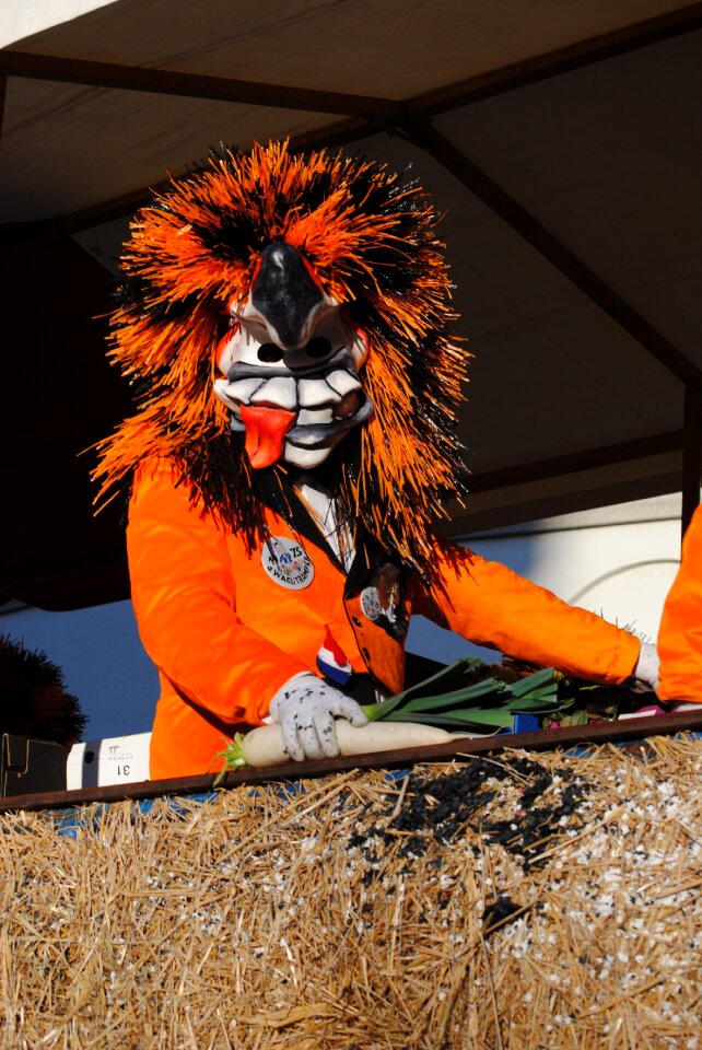 Waggis carnival basler fasnacht 2015