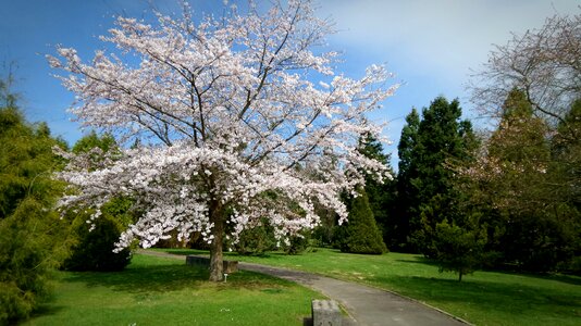 Nature botanical garden beautiful