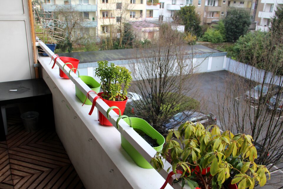 Parking balcony plant still life