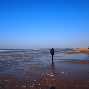 Sea beach motion