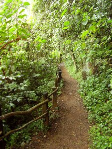 Natural outdoor environment