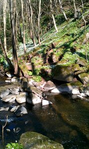 Spring kobbeåen bornholm