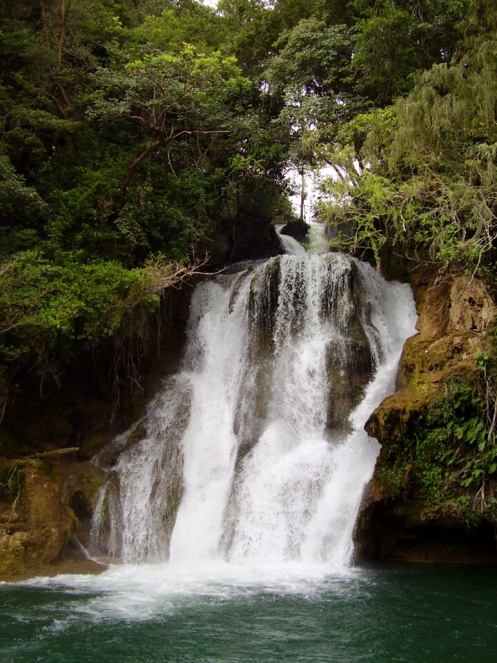 Nature fall natural