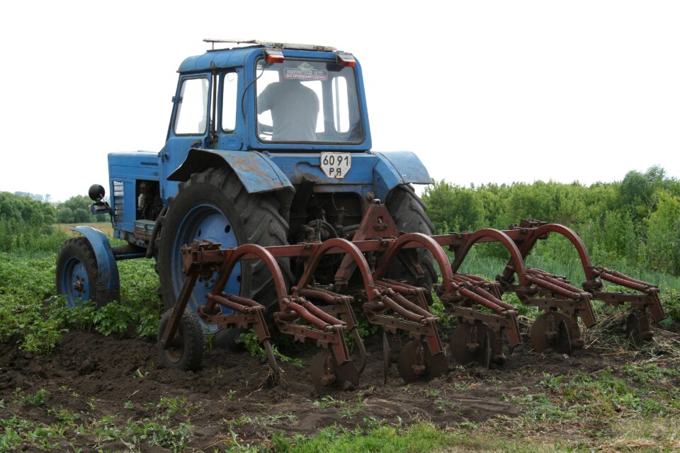 Vegetable garden transport farmer