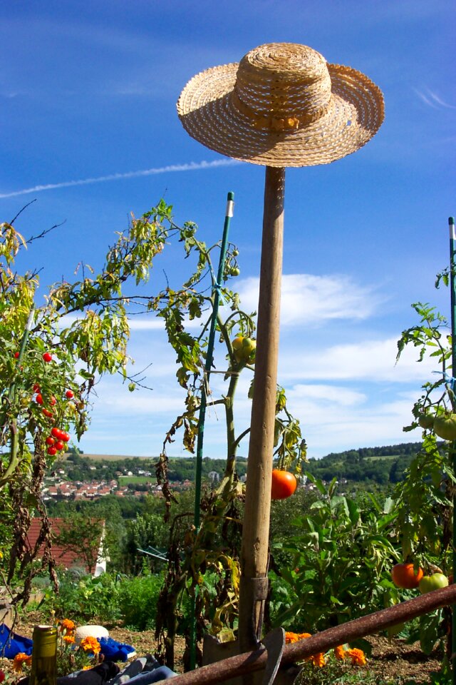 Gardener tomatoes hat