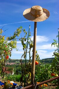 Gardener tomatoes hat