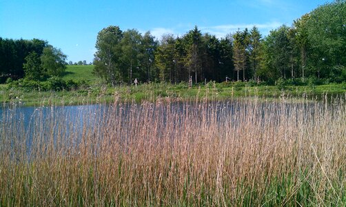 Spring bog area kværkeby
