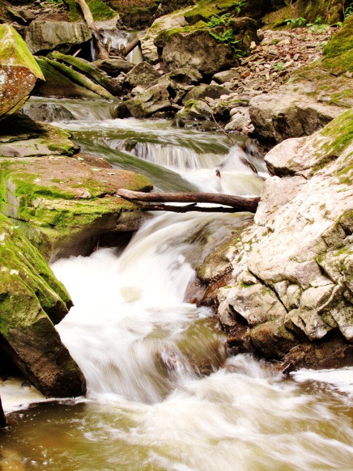 Water creek summer