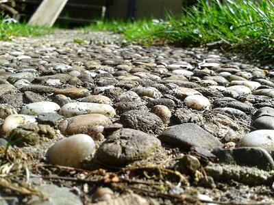 Rush garden steinig