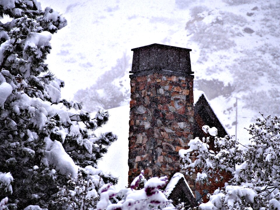 Snow cold winter