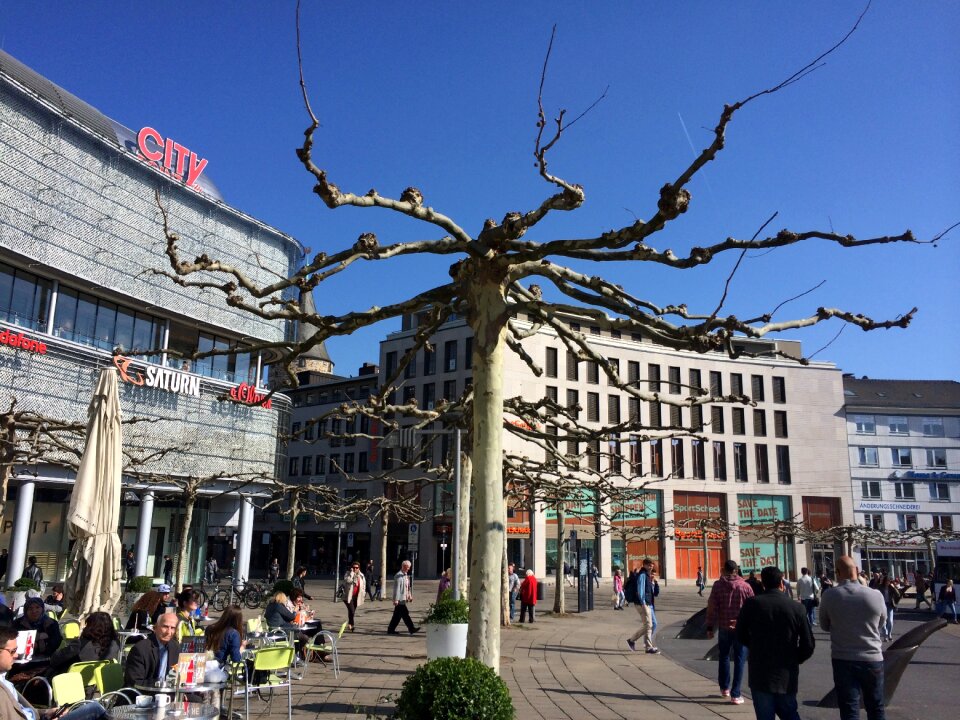 Sunny old europe