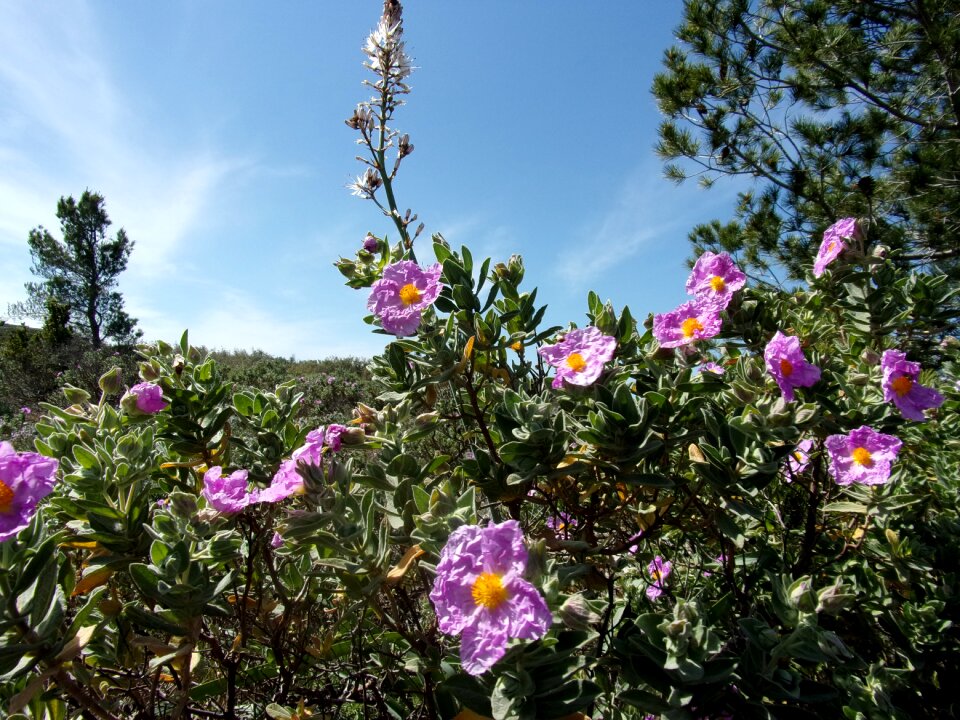 Nature spring provence