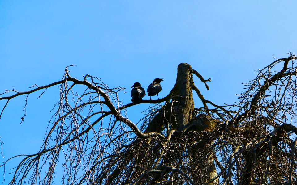 Together watch outlook