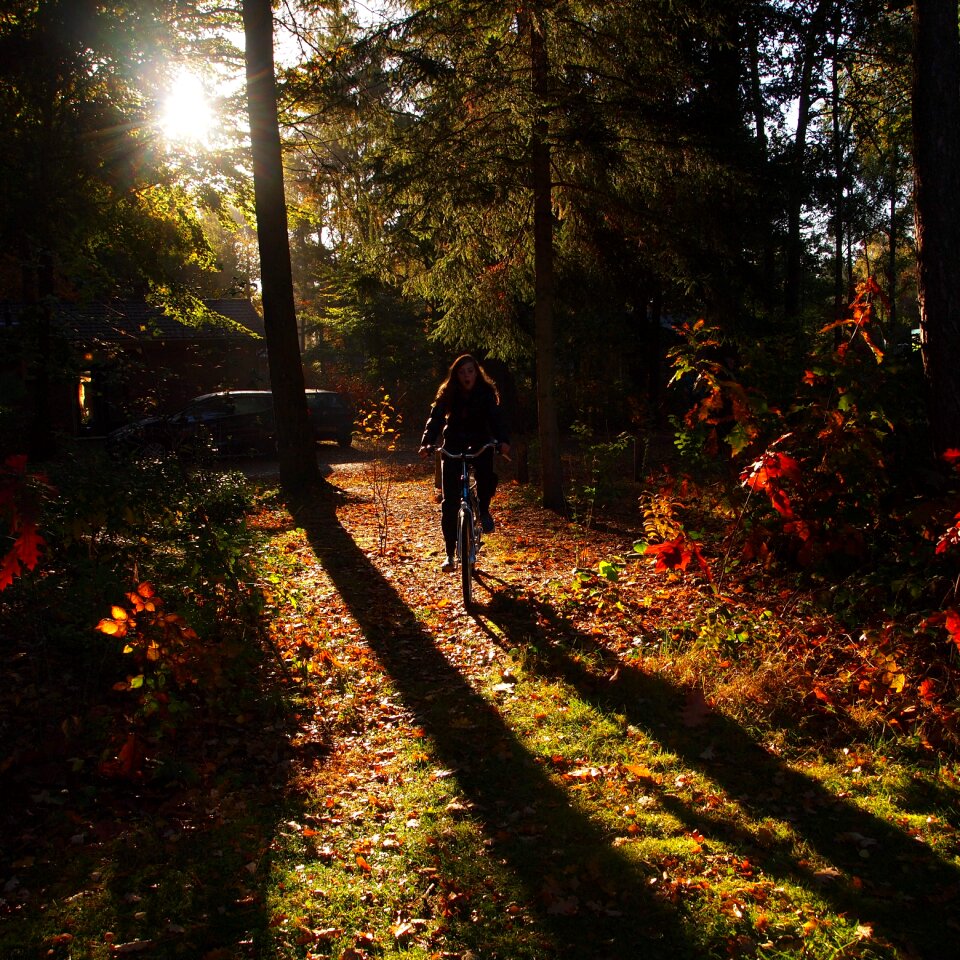 Cycling autumn sunlight