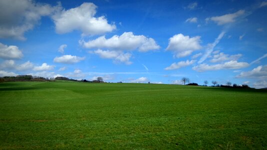Green nature landscapes