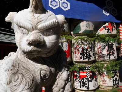 Fukuoka hakata portable shrine photo