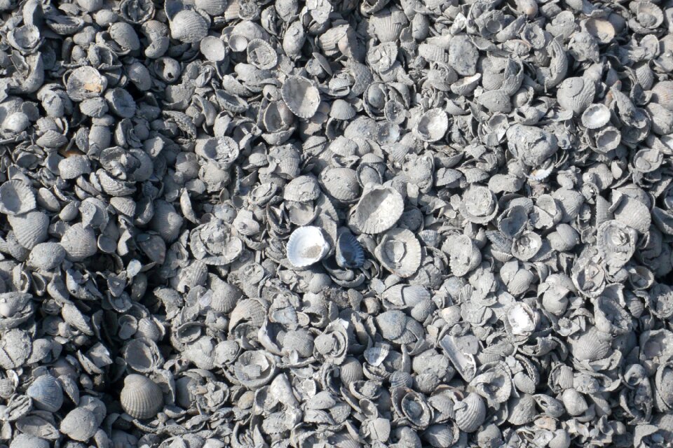 Sandy beach island land wash