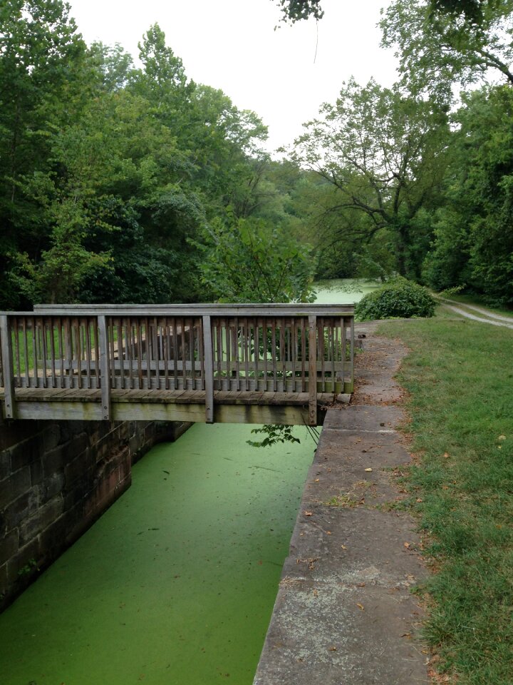 Bridge green bridge