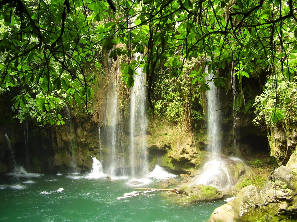 Nature fall natural