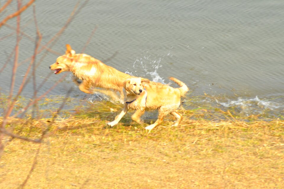 Jumping river splash