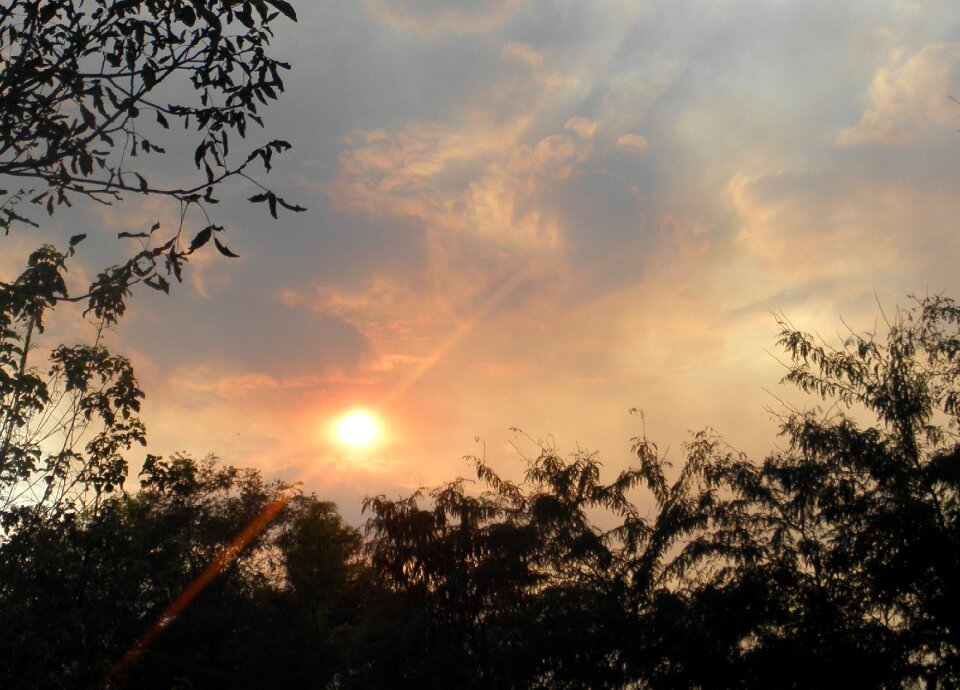 Sky nature summer