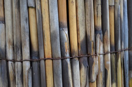 Bamboo patina rust