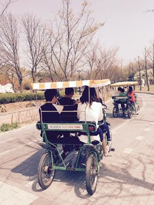 Picnic bike family