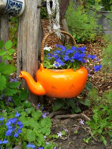 Rustic forest pot