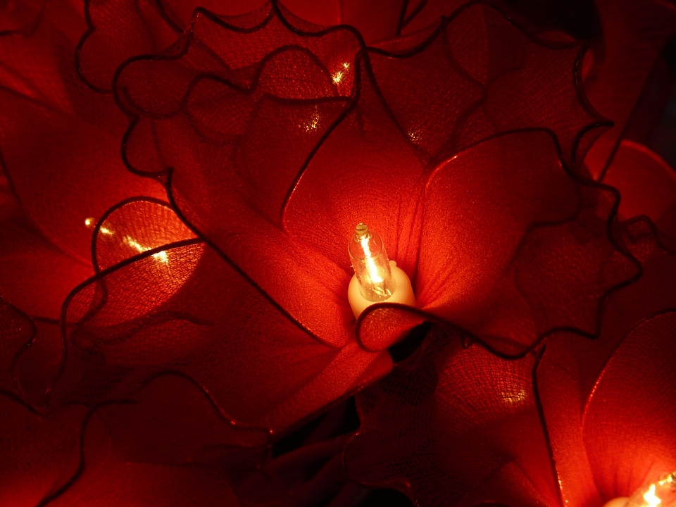 Red jewellery christmas decorations